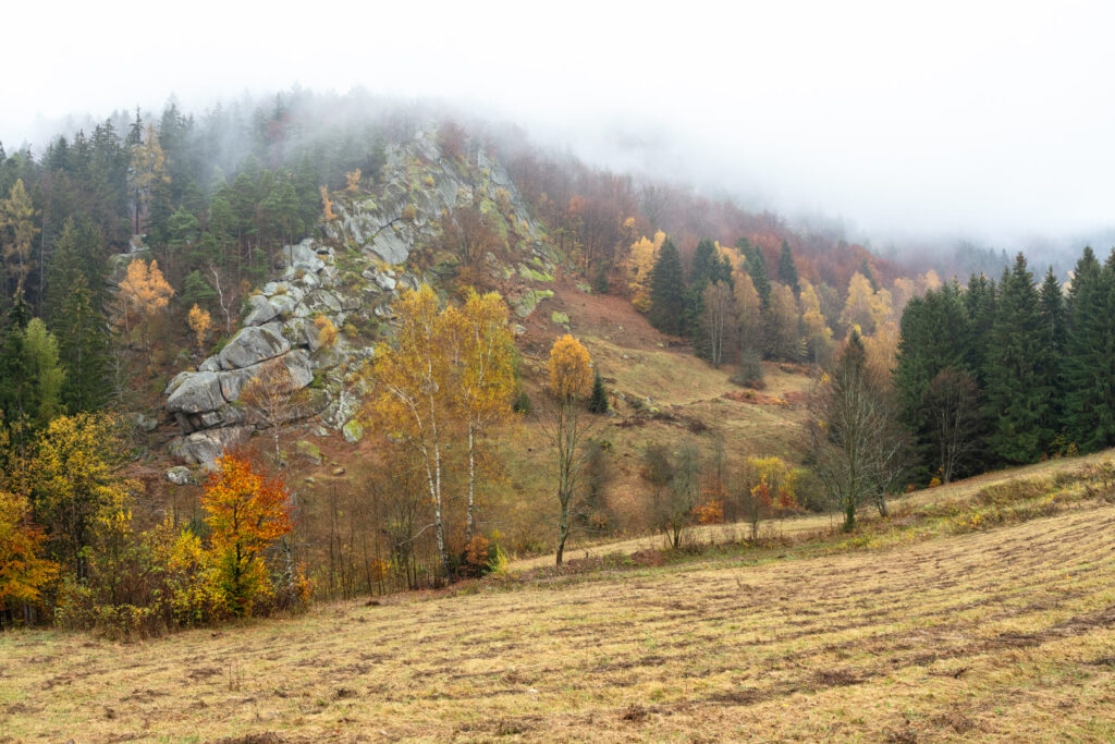 Pulčínské skály v mlze