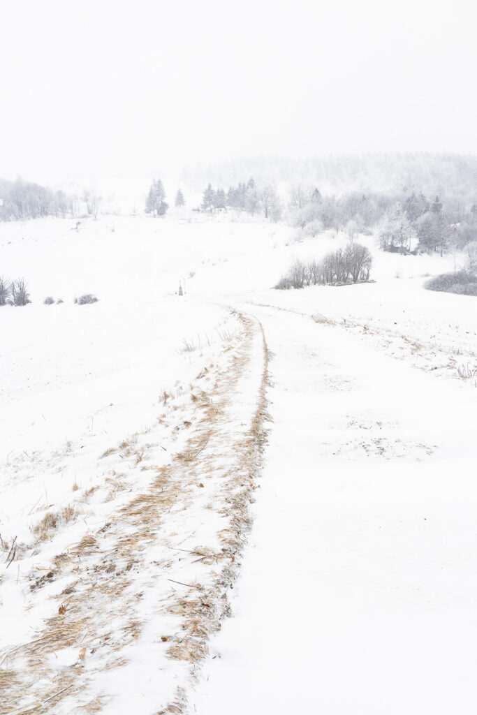 Snow-covered path leading through a misty winter landscape