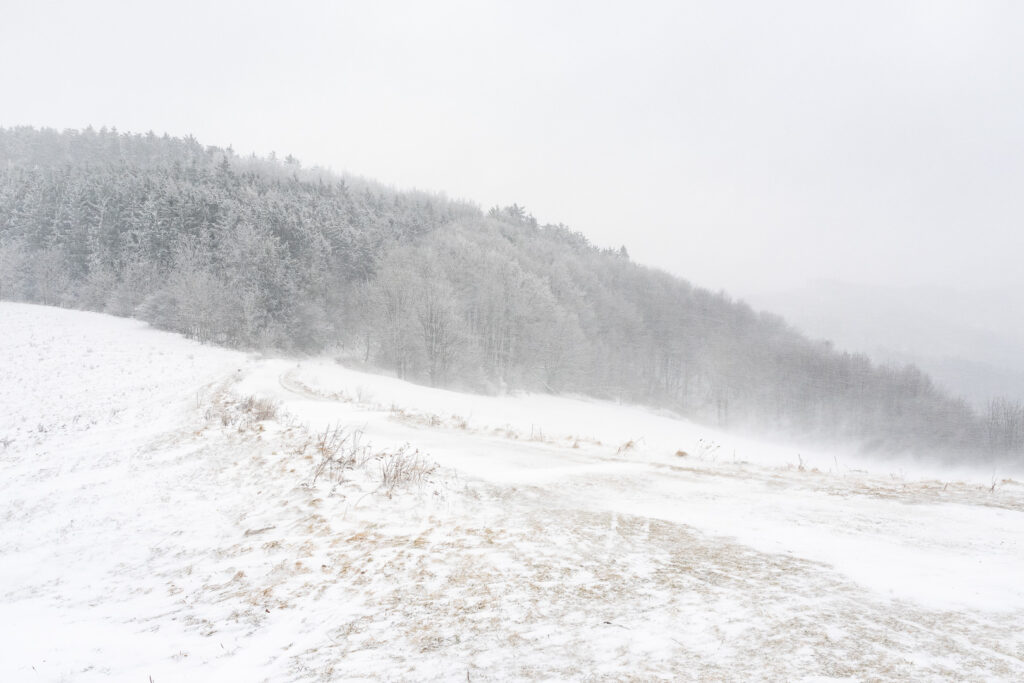 Snowy landscape with a path and forest in the background