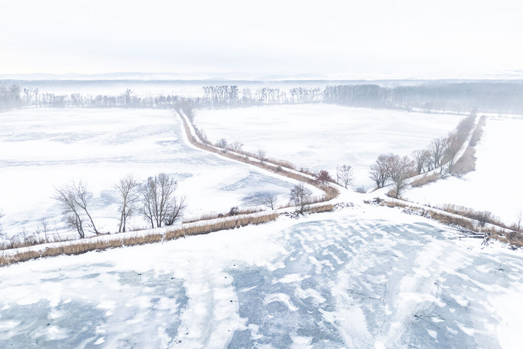 Winter landscape with frozen reservoir, trees and winding paths covered in snow